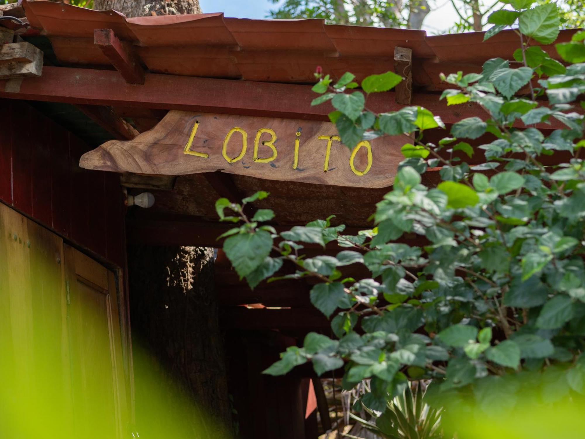 1 Bedroom Cabin, 3 Blocks From Beach And Center Of San Juan San Juan del Sur Exterior photo